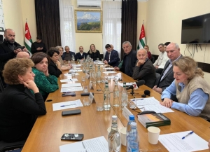 Вопросы миграционной политики Абхазии осудили в Общественной палате